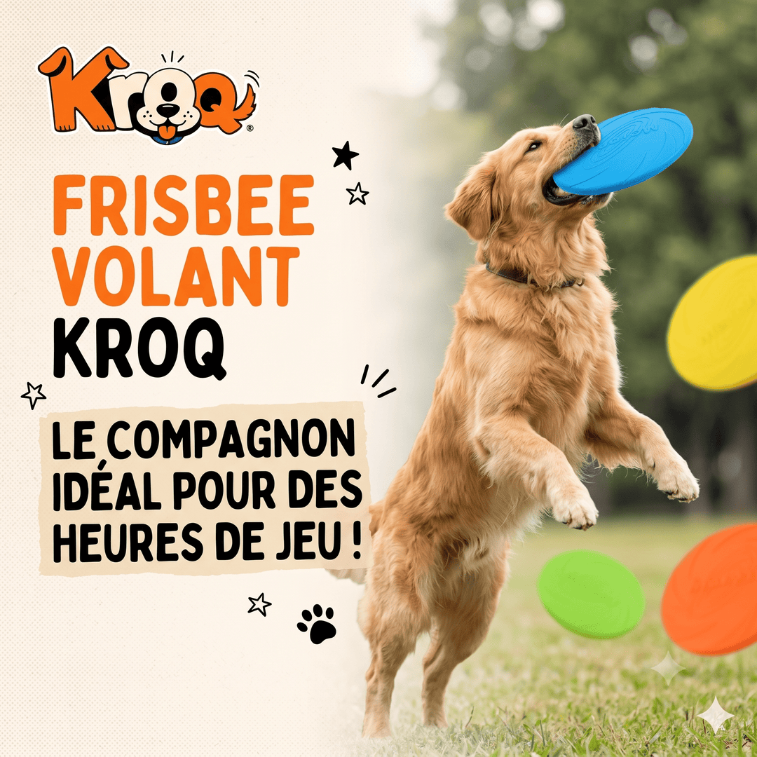 Frisbee Volant Kroq® – Le Disque de Dressage Aérodynamique et Ultra-Résistant pour Chien - Kroq