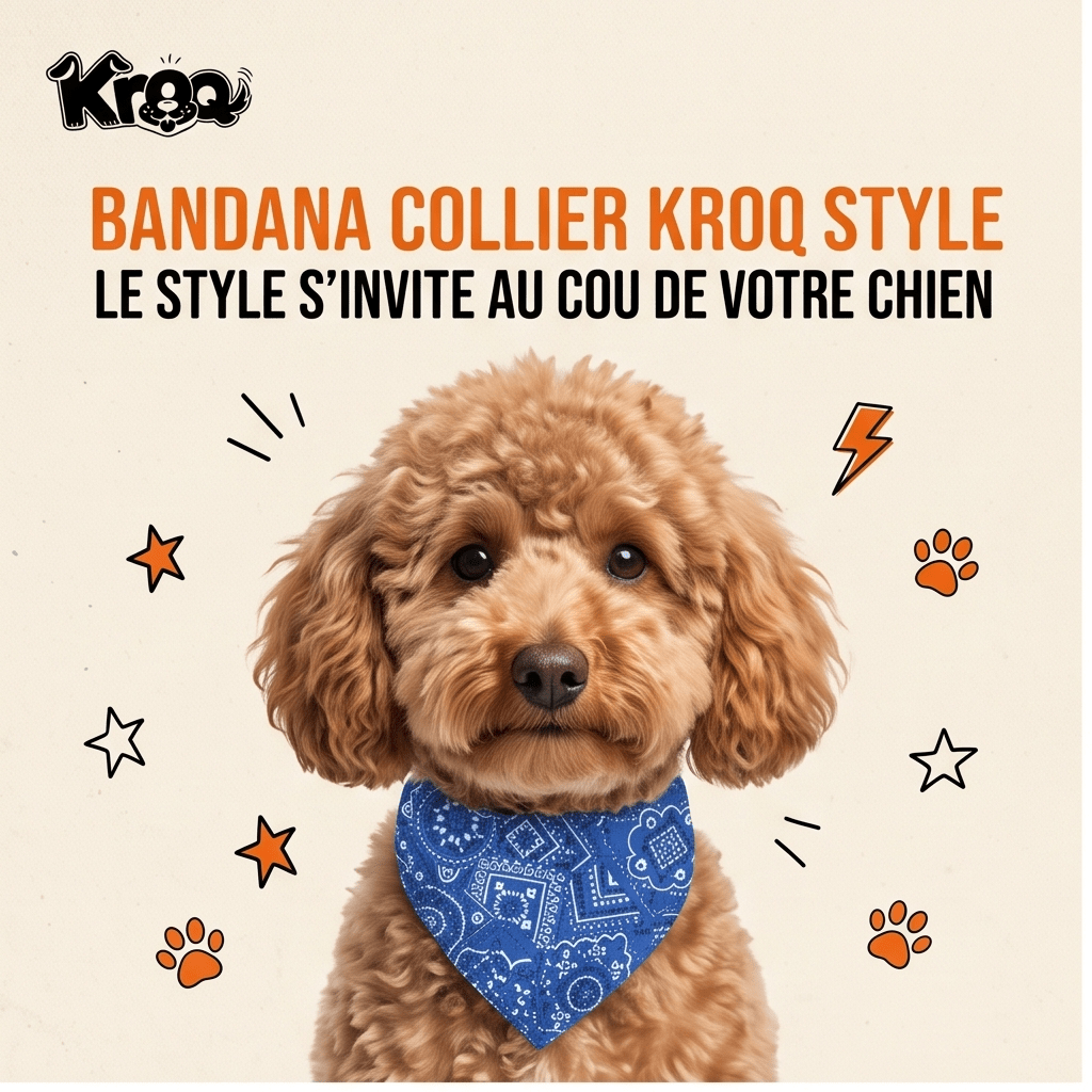 Collier Bandana Ajustable Kroq® – Le Foulard Style Paisley Confortable pour Chien et Chat - Kroq