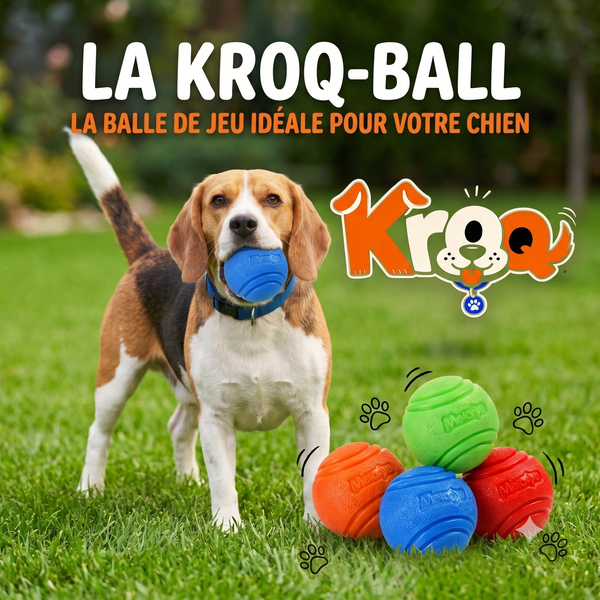La Kroq-Ball® Balle Ultra-Résistante pour Chien / Indestructible et Flottante