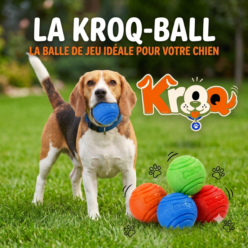 La Kroq-Ball® Balle Ultra-Résistante pour Chien / Indestructible et Flottante - Kroq