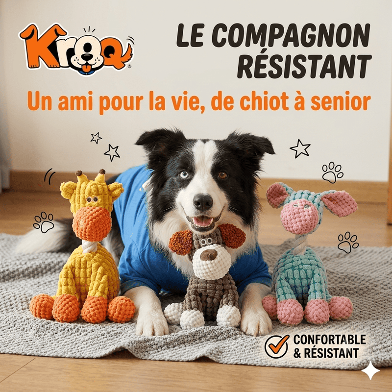 Peluche Compagnon Kroq® – Le Jouet en Tissu renforcé pour votre Chien - Kroq