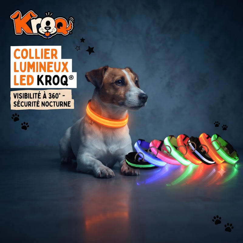 Collier LED Kroq pour chien – Visibilité nocturne - Kroq