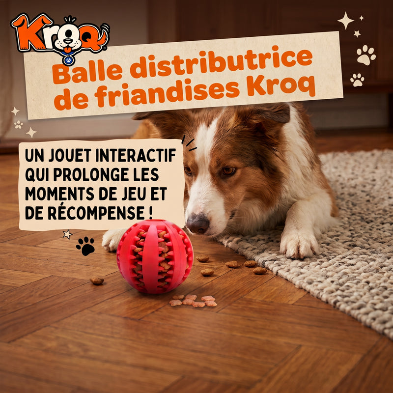 Balle distributrice de friandises Kroq – Jouet interactif pour chien - Kroq