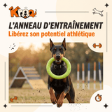 Anneau d'Entraînement Kroq® – Le Jouet en Mousse EVA Ultra-Résistant et Flottant pour Chien - Kroq