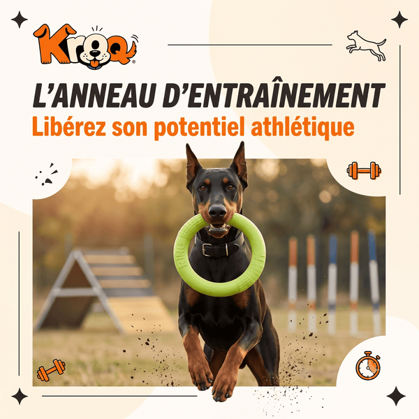 Anneau d'Entraînement Kroq® – Le Jouet en Mousse EVA Ultra-Résistant et Flottant pour Chien