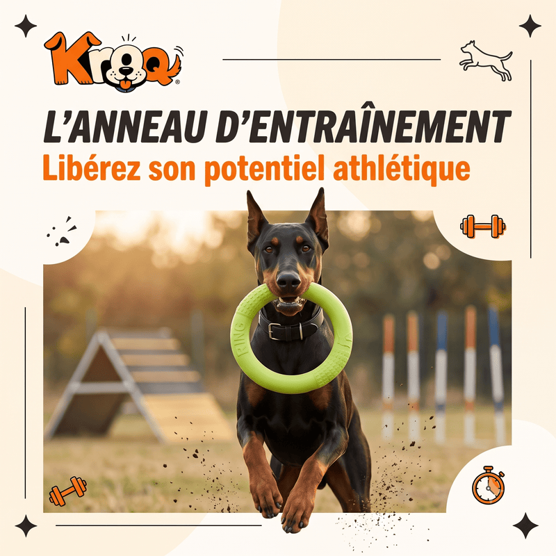 Anneau d'Entraînement Kroq® – Le Jouet en Mousse EVA Ultra-Résistant et Flottant pour Chien - Kroq