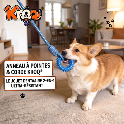 Anneau de mastication avec corde Kroq – Jouet interactif pour chien - Kroq