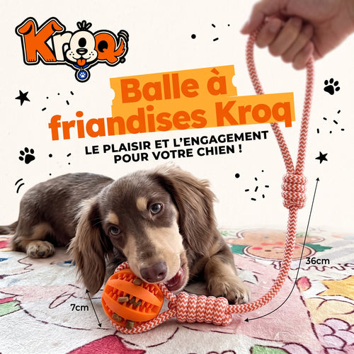 Balle à friandises avec corde pour chien Kroq – Caoutchouc naturel - Kroq