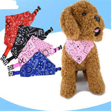 Collier Bandana Ajustable Kroq® – Le Foulard Style Paisley Confortable pour Chien et Chat - Kroq