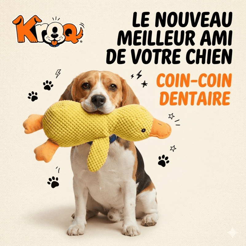 Coin-Coin Dentaire Kroq® – Le Jouet en Caoutchouc Ultra-Résistant pour Chien - Kroq