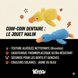 Coin-Coin Dentaire Kroq® – Le Jouet en Caoutchouc Ultra-Résistant pour Chien - Kroq