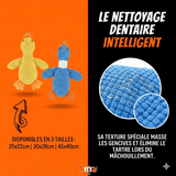 Coin-Coin Dentaire Kroq® – Le Jouet en Caoutchouc Ultra-Résistant pour Chien - Kroq