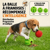 Balle Distributrice de Friandises Kroq-Balle® - Kroq