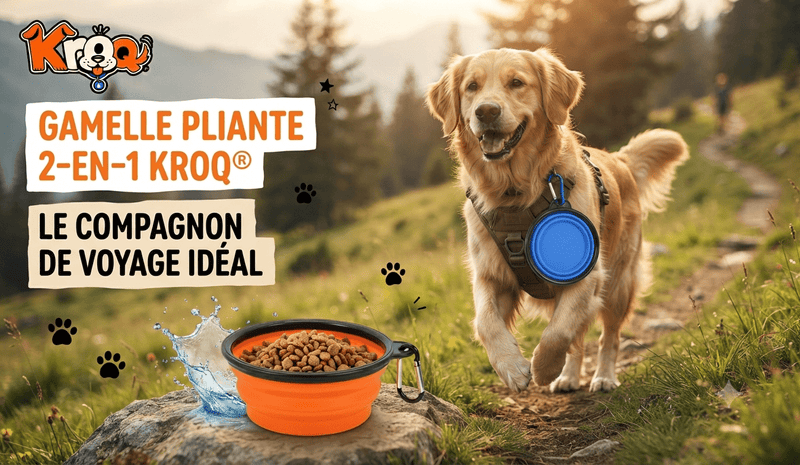 Gamelle Pliante en Silicone 2-en-1 Kroq