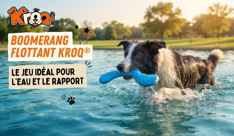 Boomerang flottant pour chien Kroq – Jouet de lancer en EVA