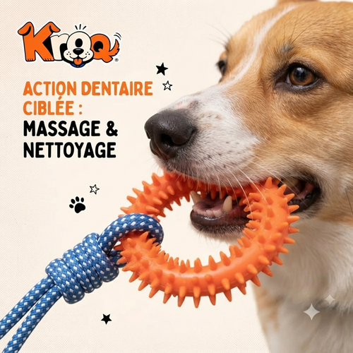 Anneau de mastication avec corde Kroq – Jouet interactif pour chien