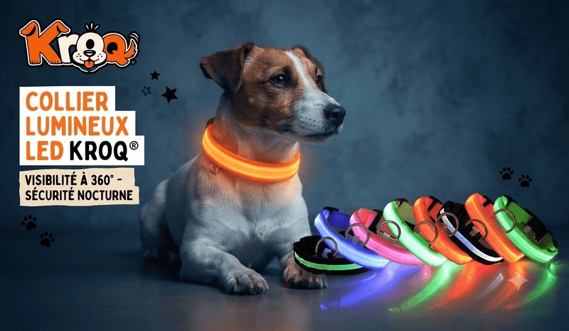 Collier LED Kroq pour chien – Visibilité nocturne