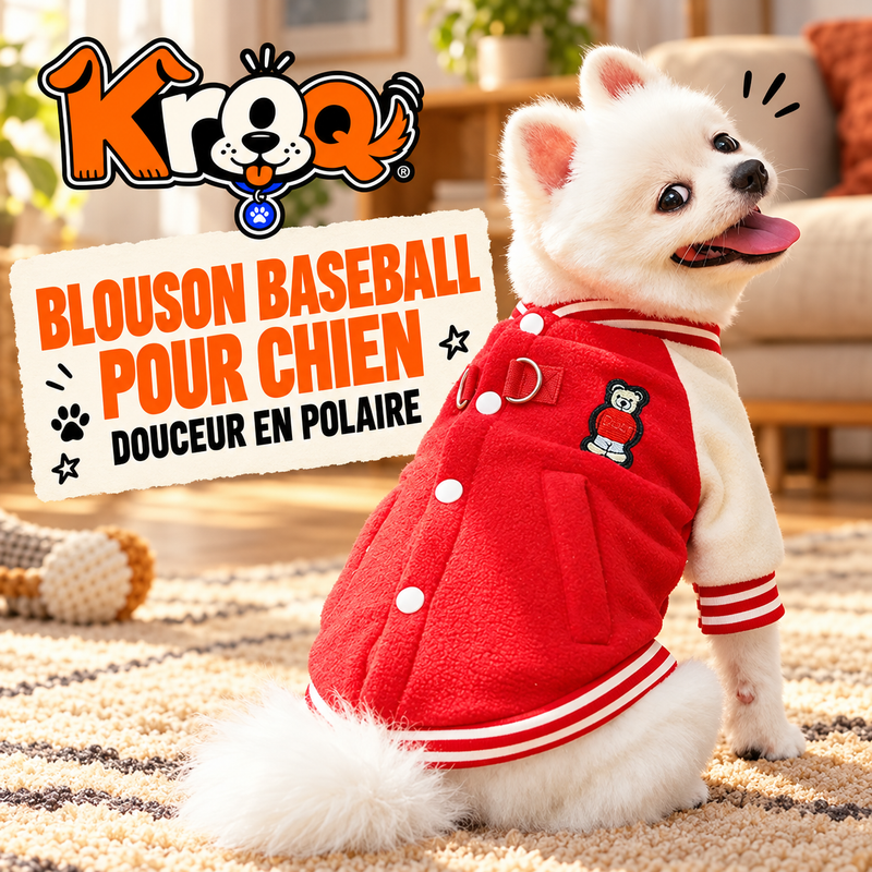 Blouson baseball pour chien Kroq