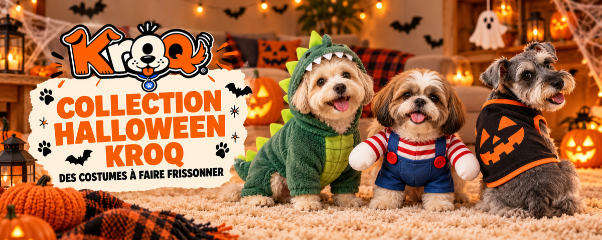 Déguisements Halloween pour chien
