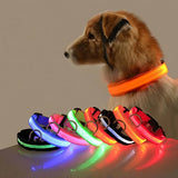 Collier pour Chien Lumineux LED Kroq® – Sécurité Nocturne et Visibilité Maximale