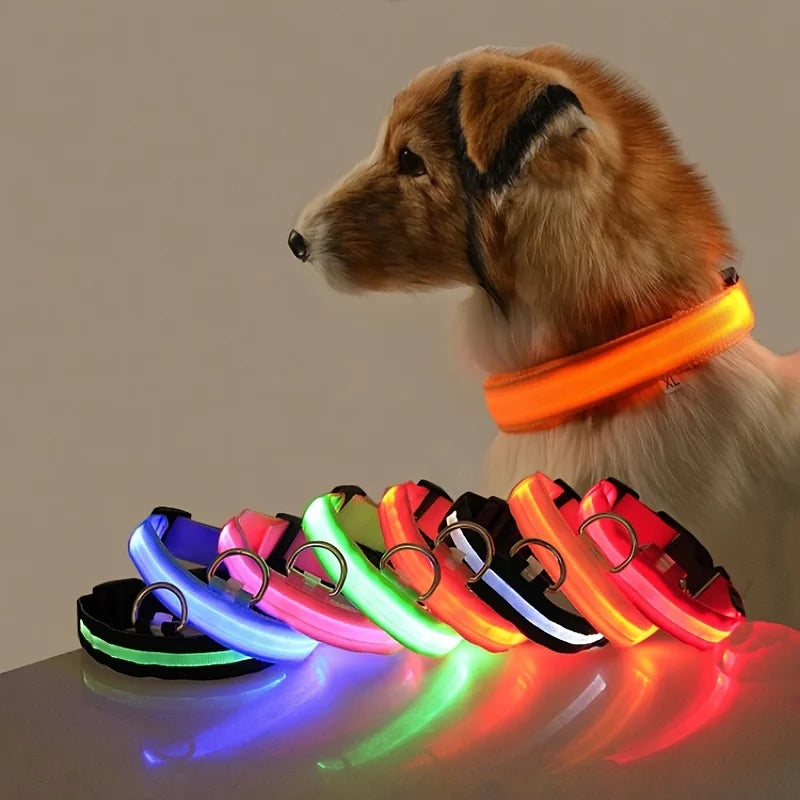Collier LED rechargeable Kroq pour chien – Visibilité nocturne