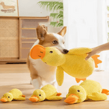 Coin-Coin Dentaire Kroq® – Le Jouet en Caoutchouc Ultra-Résistant pour Chien - Kroq