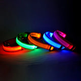 Collier pour Chien Lumineux LED Kroq® – Sécurité Nocturne et Visibilité Maximale