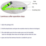 Collier pour Chien Lumineux LED Kroq® – Sécurité Nocturne et Visibilité Maximale