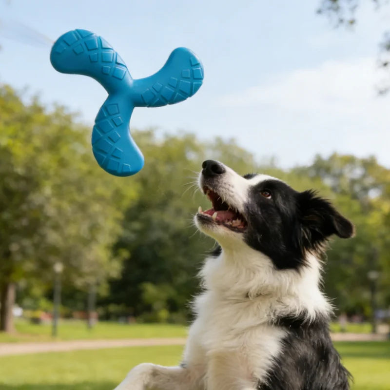 Boomerang Flottant Kroq® – Le Disque de Lancer Indestructible et Flottant pour Grands Chiens