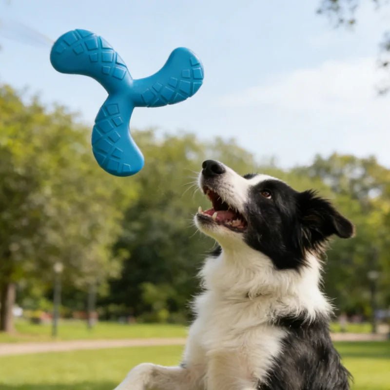 Boomerang Flottant Kroq® – Le Disque de Lancer Indestructible et Flottant pour Grands Chiens - Kroq