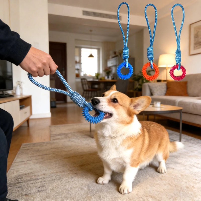 Anneau à Pointes & Corde Kroq® – Le Jouet Dentaire 2-en-1 Ultra-Résistant pour Chien - Kroq