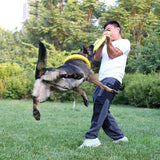 Anneau d'Entraînement Kroq® – Le Jouet en Mousse EVA Ultra-Résistant et Flottant pour Chien - Kroq