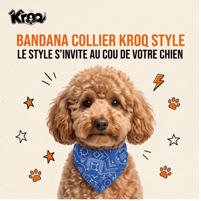 Collier Bandana Ajustable Kroq® – Le Foulard Style Paisley Confortable pour Chien et Chat - Kroq