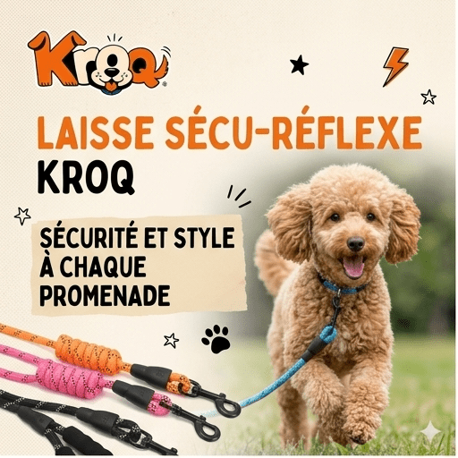 Laisse Sécu-Réflex Kroq® – La Laisse de Promenade en Nylon Tressé Réfléchissante et Anti-Traction - Kroq